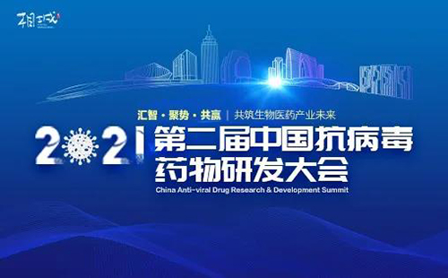 �ڶ��쿹����ҩ���з����