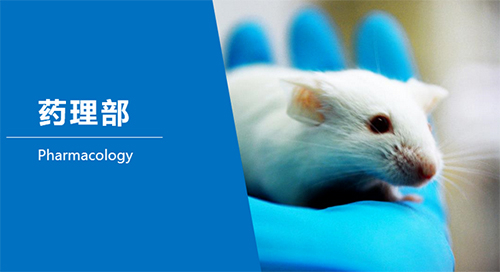 ����÷�ٴ�ǰ�о�-ҩ����