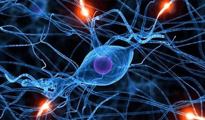 ����÷��������ҽҩ����˲ʱ�����λͨ����С�������Ƽ�LDSƬ�����ٴ�