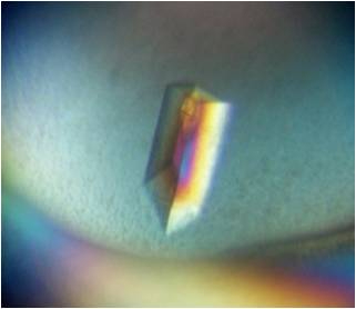 �Ѱױ���ϵͳ