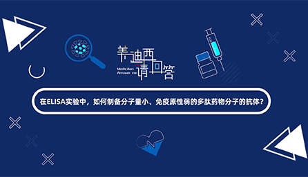 ��ELISAʵ�����������������Ʊ�������С������ԭ�����Ķ���ҩ����ӵĿ��壿����