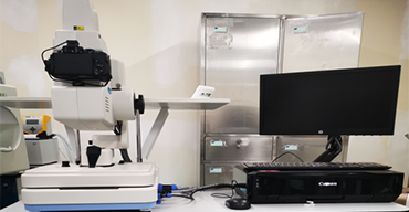 �����۵���Ӱ�����