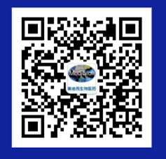 ����÷��MGM(�й���)��������