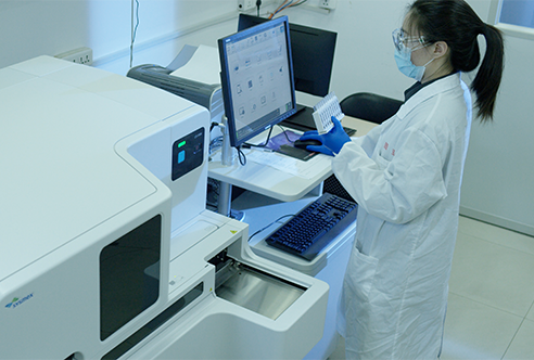 ����÷һ�廯DMPKЧ��Ϊҩ���з����ݻ���