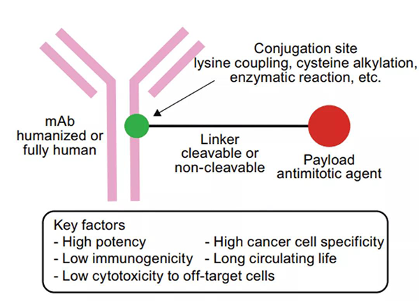 ADCÒ©Îï½á¹¹.png ADCÒ©Îï½á¹¹.png