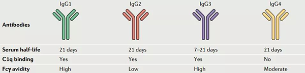 ²î±ðIgG±ÈÕÕ.png ²î±ðIgG±ÈÕÕ.png