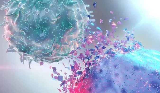 ����| �����������Ƶ���ǰ��