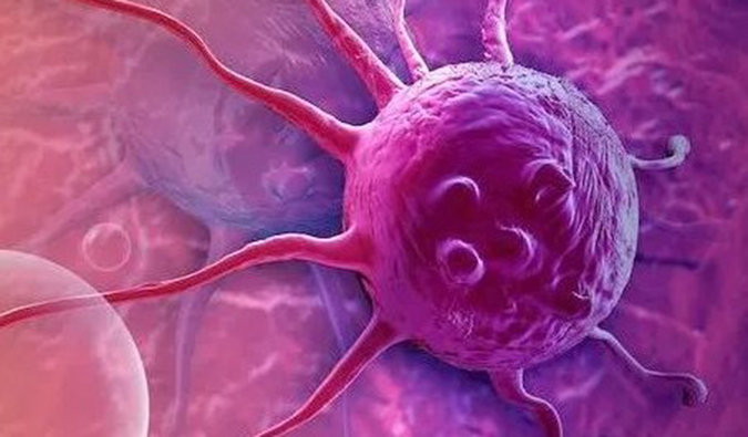 ����÷�����й�ԭ�и�ѡ����EP4�����׿���YY001�����ٴ�