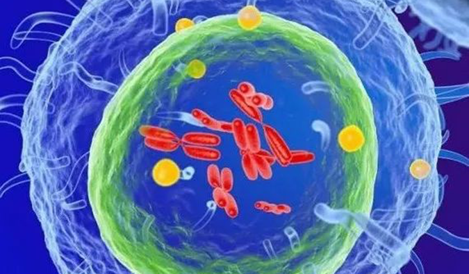  ����÷���� | ��ŵά������1����ҩXNW14010�����ٴ�.png