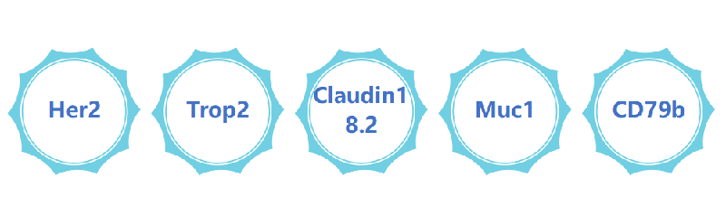 ADCÒ©Îï°Ðµã.png ADCÒ©Îï°Ðµã.png