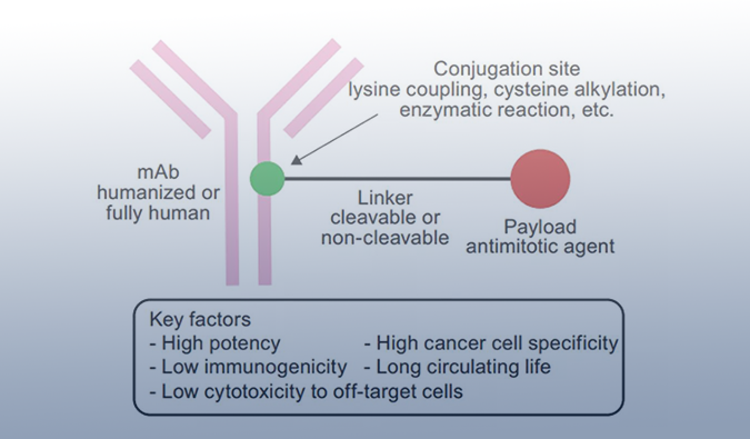 ADCҩ�ӭ���г��ȳ����������������з�����