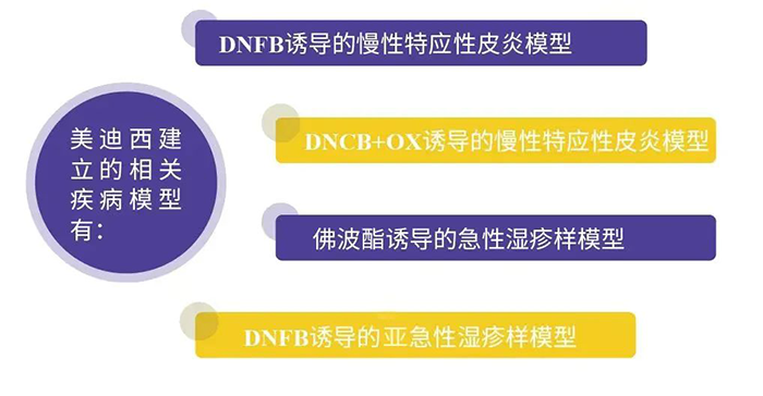 ÃÀ¸ß÷½¨ÉèµÄÌØÓ¦ÐÔÆ¤Ñ×Ä£×Ó.png ÃÀ¸ß÷½¨ÉèµÄÌØÓ¦ÐÔÆ¤Ñ×Ä£×Ó.png