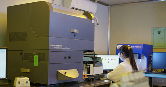 ��ʽϸ����