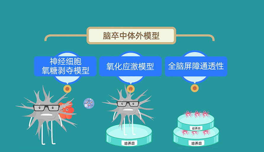 ȱѪ�����������ڵ���ȱѪģ���о�ģ��