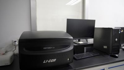 ˫ɫºìÍ⼤¹â³ÉÏñÒÇ