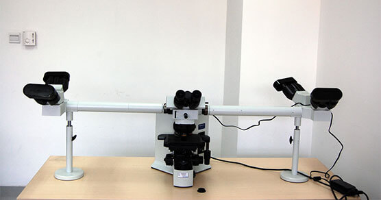 ���˹�����΢��