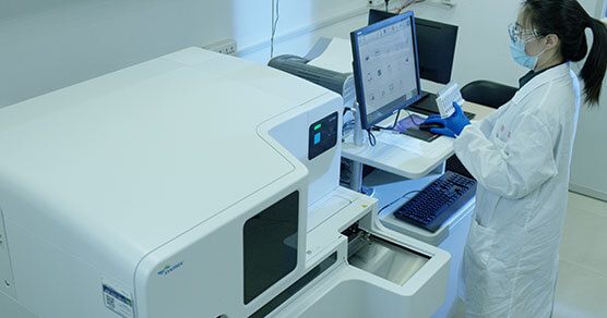 �ټ�����