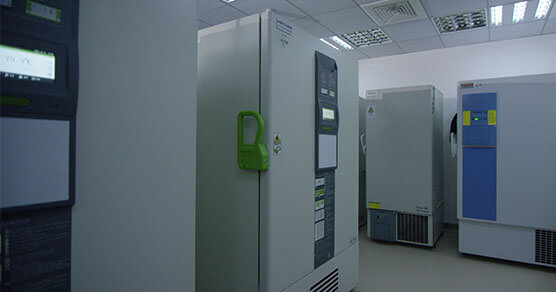 ҩ������