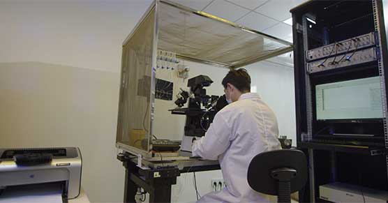 hERG-experiment-������1