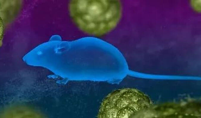 ����÷ҩЧЧ�͸���First-in-Class���ػ����Ƽ��з�