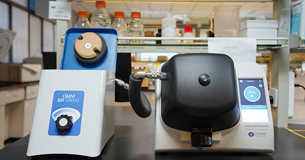 ������Ʒ������