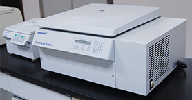 �������Ļ�