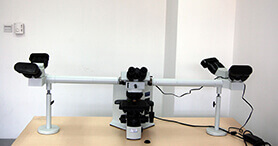 ���˹�����΢��