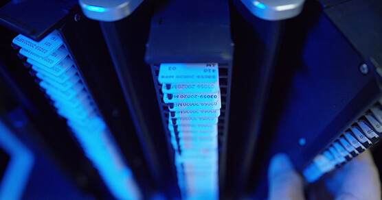 ������Ƭ