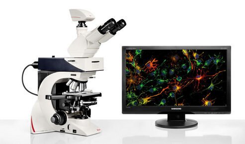 Leicaӫ����΢��