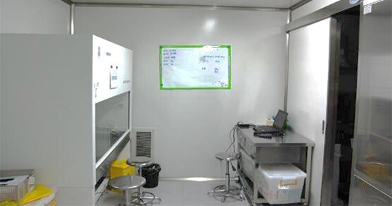 �����ң����ң�