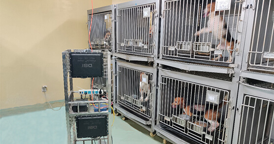 Êý×Ö»¯ÐÄÀíÒ£²âϵͳ