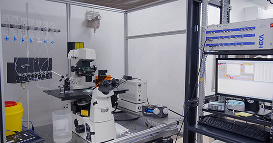 HEKA-Elektronik-EPC10-USB-DOUBLE-ĤƬǯϵͳ