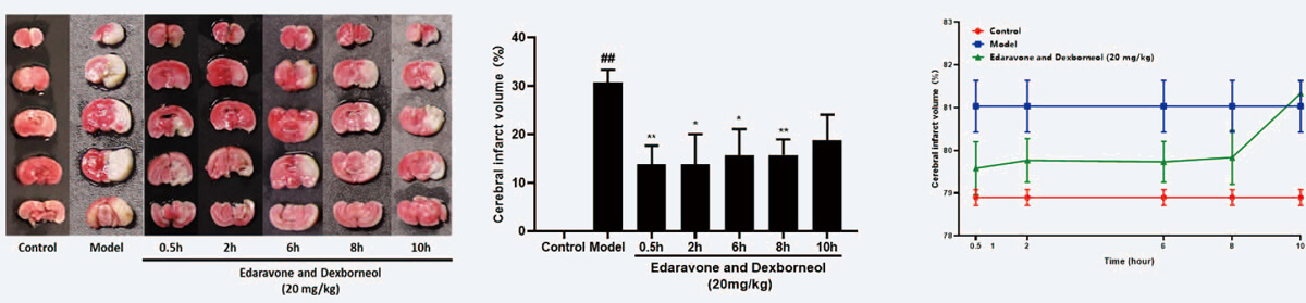 ʱЧ��ϵ���죨TTC���Ժ�ˮ������ mean��SEM��.jpg
