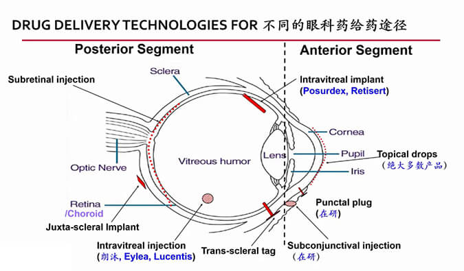 ���ڸ��ط�+�°볡ԤԼ������÷�ۿ�ҩ��ר�����л��ϰ볡���ʻ���