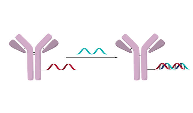 ż��ҩ�������壩| ��ģʽ����С���Ό��ż��ҩ��(AOC)