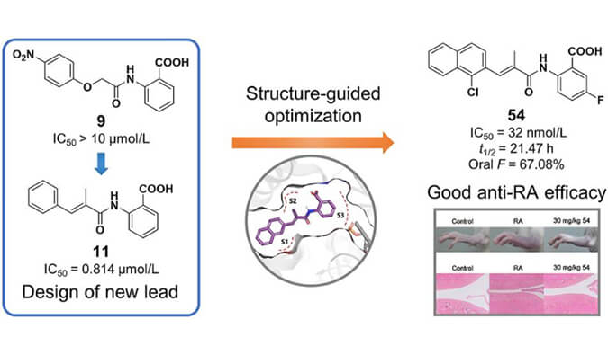 ��ƺϳ�һϵ��DHODH���Ƽ���ΪǱ�ڵ����ʪ����Ŧ������ҩ��������������о���PKʵ��ͨ������÷����