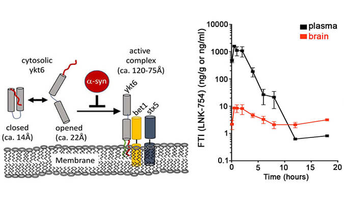 �����ת��ø���Ƽ�LNK-754���οڷ��󼴿ɿ��ٴ���Ѫ�����ϣ��������������о���PK����ͨ������÷����