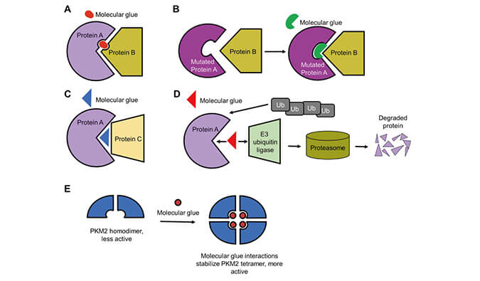 �����Ѱ׽���ϵ�У����������ӽ���������������ս���ɳ�ҩ