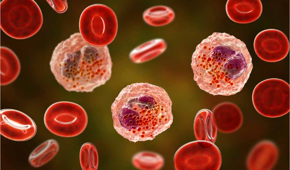 ����÷���� | ȫ���״�����ҫ����STAT3˫���ữ���Ƽ�YY201�����ٴ�.jpg