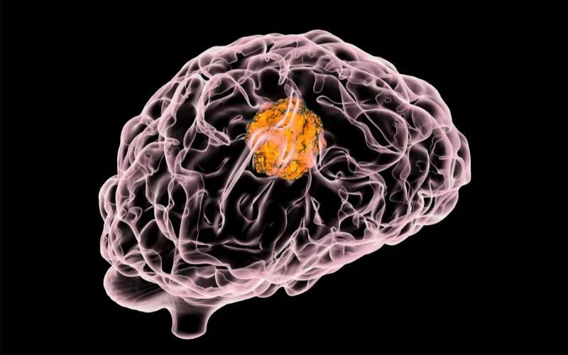 ����÷���� | 赳�ҽҩABM-1310������FDA�¶�ҩ�ʸ���֤������������������Я��BRAF V600ͻ����Խ���ĸϸ��������