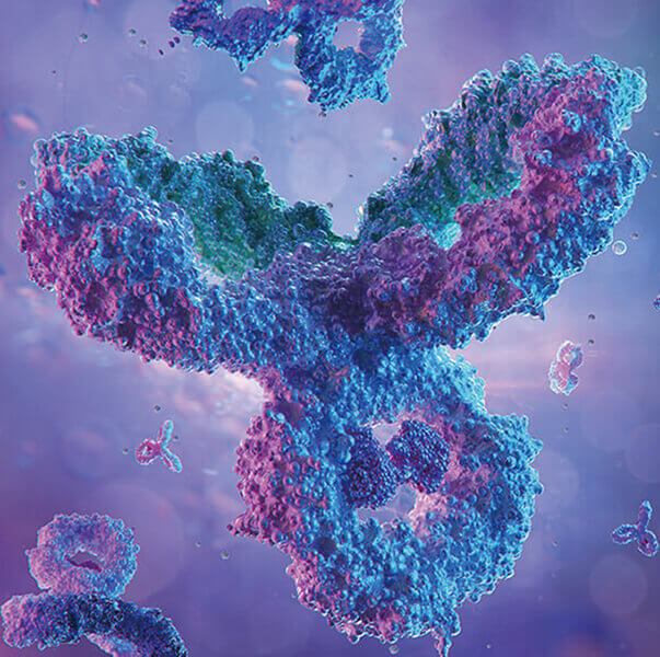 ADCҩ����ٴ��徲������