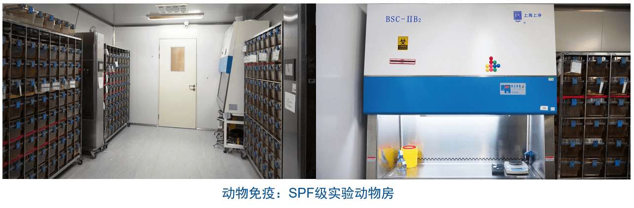 ����÷�ӽ�������ƽ̨װ��-��������SPF��ʵ�鶯�﷿