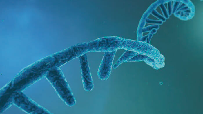 ����ҩ�﹤�տ���