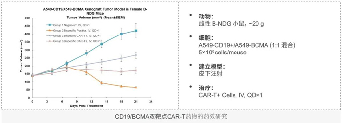 CD19-BCMA˫�е�CAR-T��������.jpg