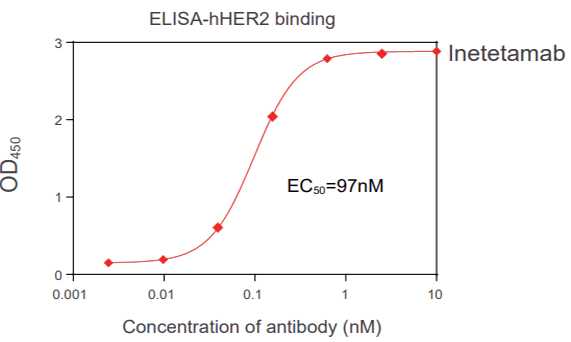 ��ϵʵ�� Binding assay (FACS, ELISA, SPR)-1
