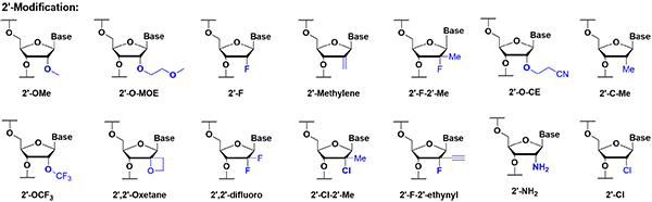 ÌÇÐÞÊÎ-1.png ÌÇÐÞÊÎ-1.png