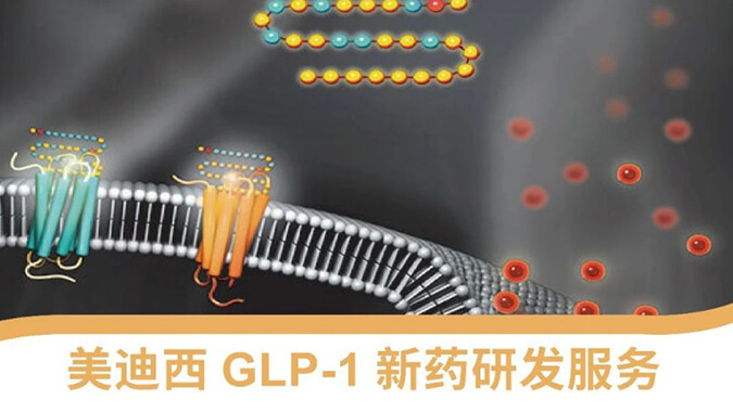 ��GLP-1����ҩ�з�Ч��ƽ̨