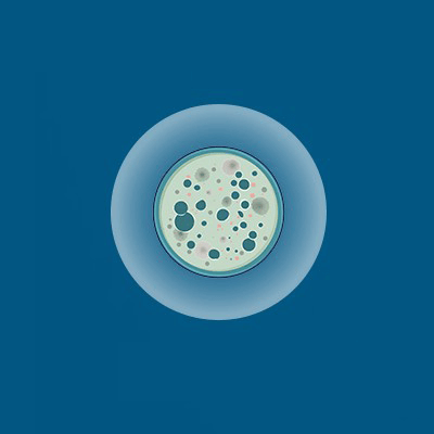 Îø´ú°±»ùËá×÷Óý»ù Îø´ú°±»ùËá×÷Óý»ù