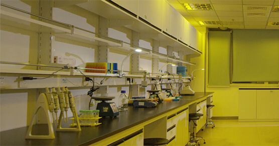 ҩ��ʵ����