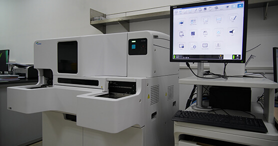 ��Ѫ������